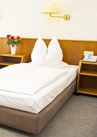 Hotel Stiftswingert Mainz Room photo